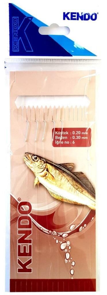 KENDO 10 İğneli Kefal Takım
