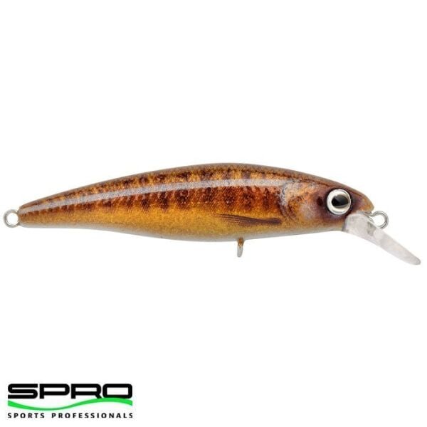 SPRO Ikiru Silent Jerk Varion 9.5CM 1/1 Maket yem