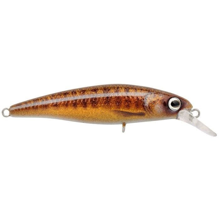 SPRO Ikiru Silent Jerk Varion 9.5CM 1/1 Maket yem