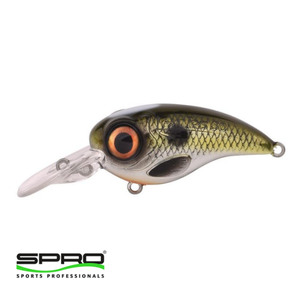 SPRO Fat Irıs CR Shad 5CM 11G Sert Yem