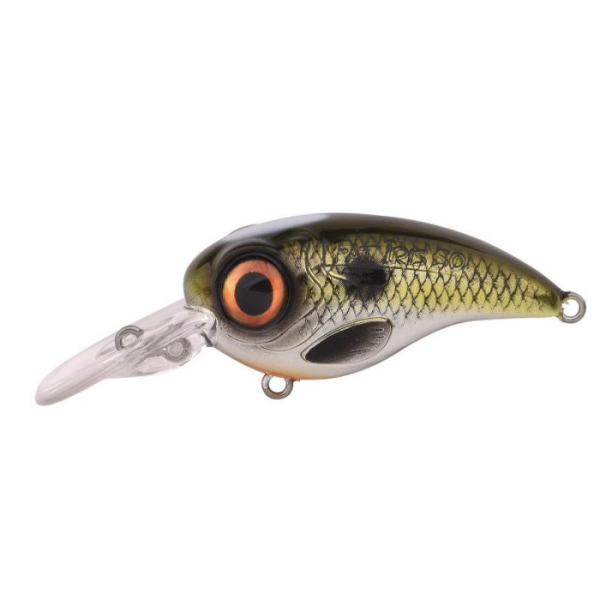 SPRO Fat Irıs CR Shad 5CM 11G Sert Yem