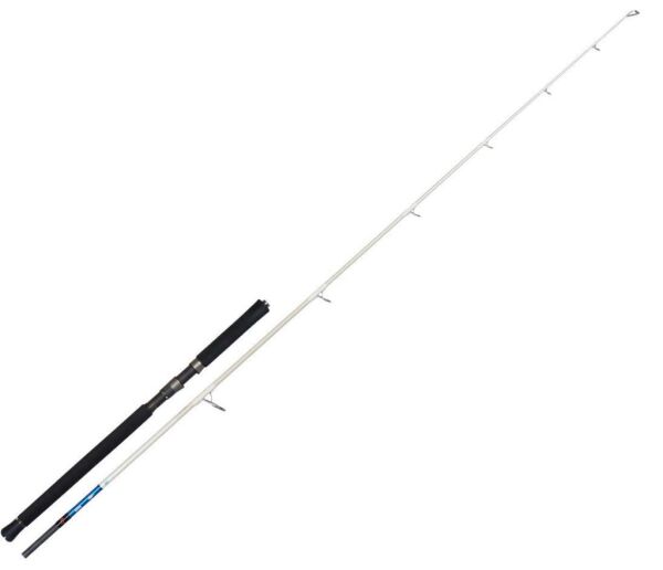 SAVAGE GEAR Salt 1DFR Pop n Stıck 234cm 100-200g 2 Parça