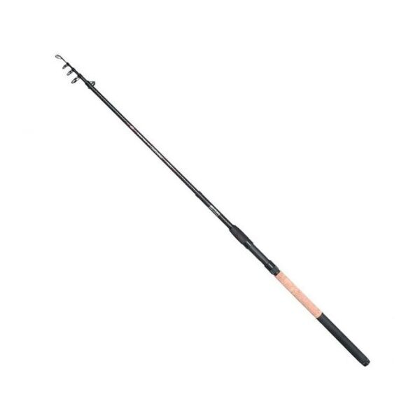 SPRO Carbonizer L-Allround Tele 40 300 10-30 Kamış