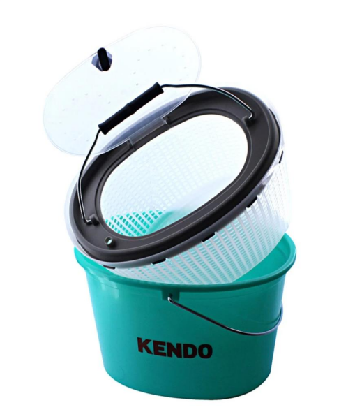 Renkli Oval Kova