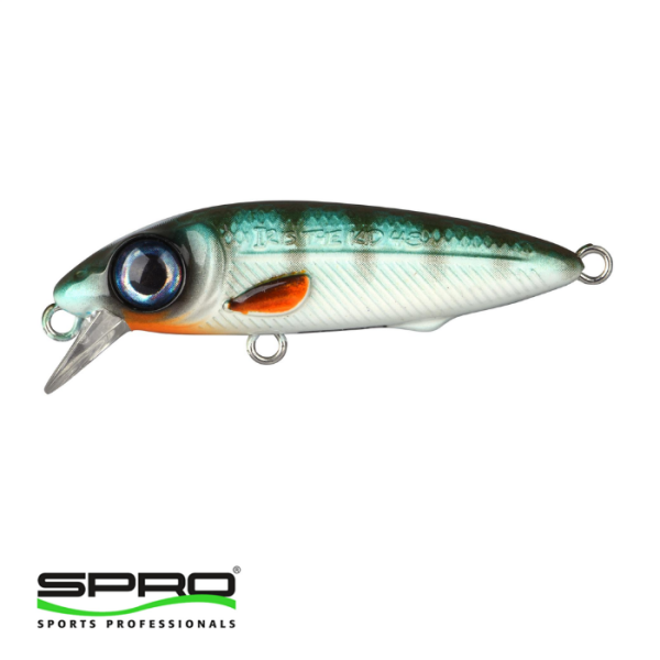 SPRO Iris The Kid Herring 4,8 CM 6G  Sert Yem