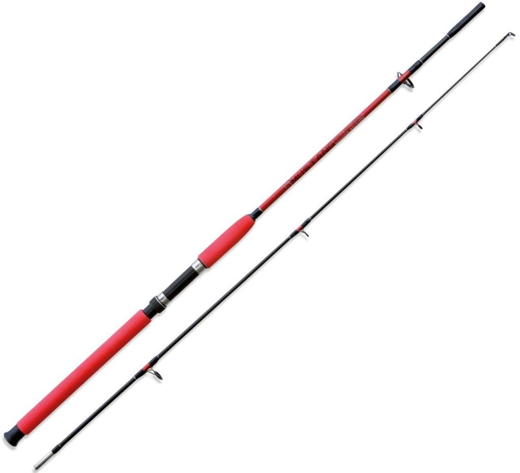 LINEAEFFE Mustang 2.10Mt 100-250gr Tekne Kamışı