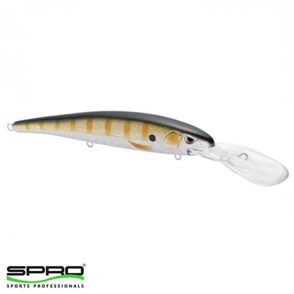 SPRO Madeye Minnow 120 Perch Sert Yem