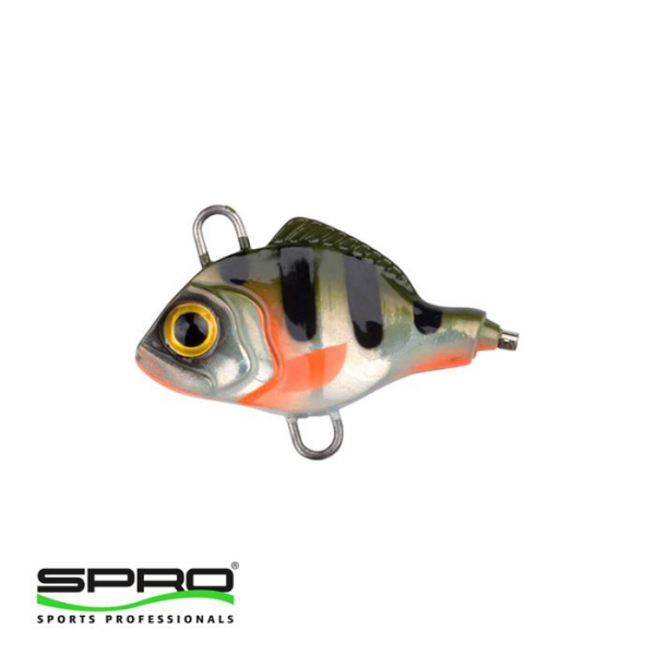 SPRO Asp Spinner UV Natural Perch 7G Jig -Roach
