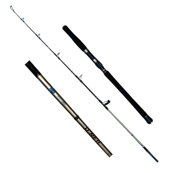DFT ONeil 190cm 100-300g Jig Kamışı