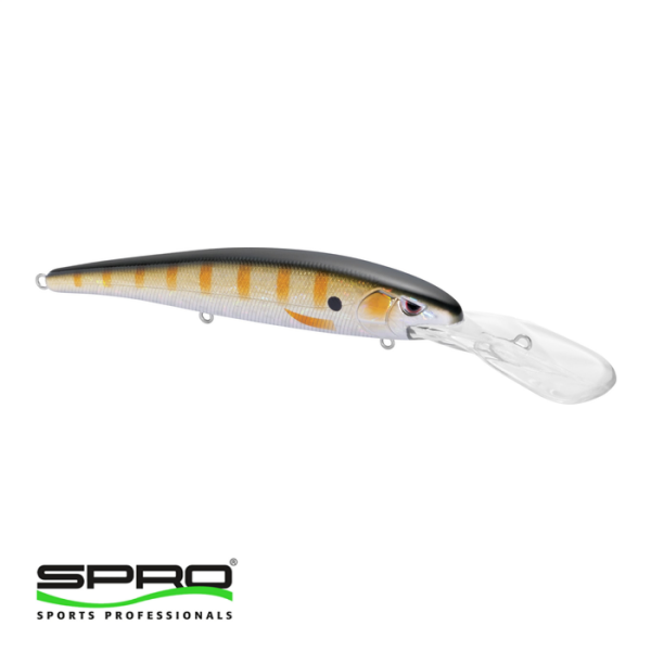 SPRO Madeye Minnow 120 Perch Sert Yem