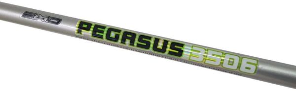 P-LINE Pegasus 3,50 m 80-160 gr Olta Kamışı