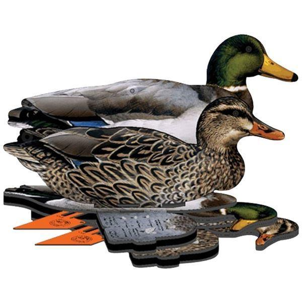 MÜHRE ÖRDEK - MALLARD DUCKS (3 ERKEK-3 DİŞİ)