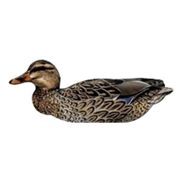 MÜHRE ÖRDEK - MALLARD DUCKS (3 ERKEK-3 DİŞİ)