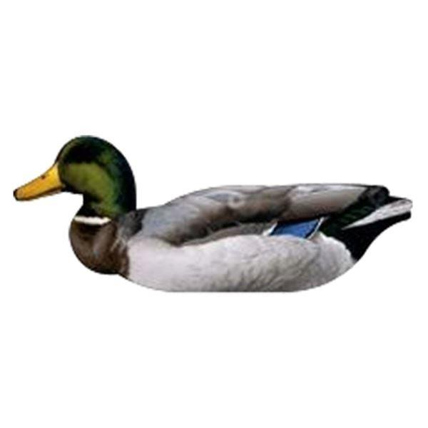 MÜHRE ÖRDEK - MALLARD DUCKS (3 ERKEK-3 DİŞİ)