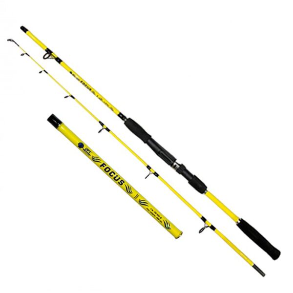 DFT Focus 50-100 g 180 cm Olta Kamışı