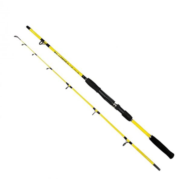 DFT Focus 180 cm Bot Kamışı 50-100 g