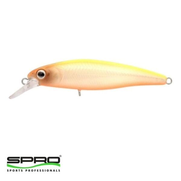 SPRO Ikiru Flat 65 FS N.Chart Back  1/1