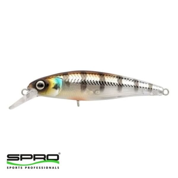 SPRO Ikiru Flat 65 FS Buzzer 1/1