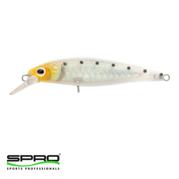 SPRO Ikiru Flat 65 FS Shirazu 1/1