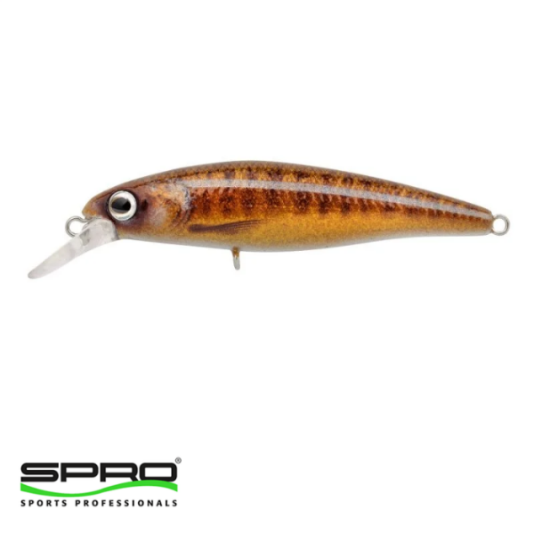SPRO Ikiru Flat Jerk 65 FS Varion 1/1
