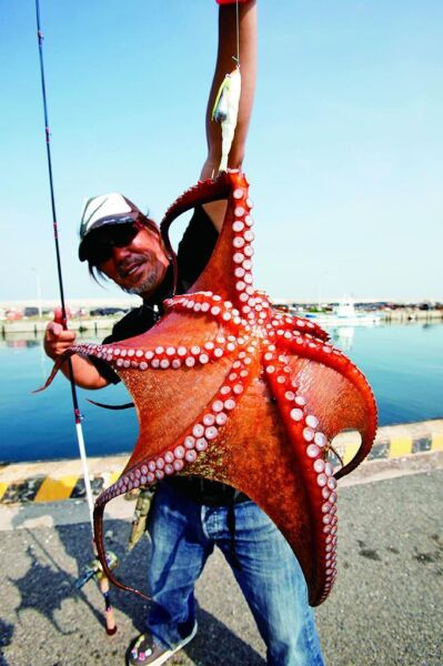 D.YO-ZURI  Tokoyan Octopus E1338-SLB S90mm Maket Balık