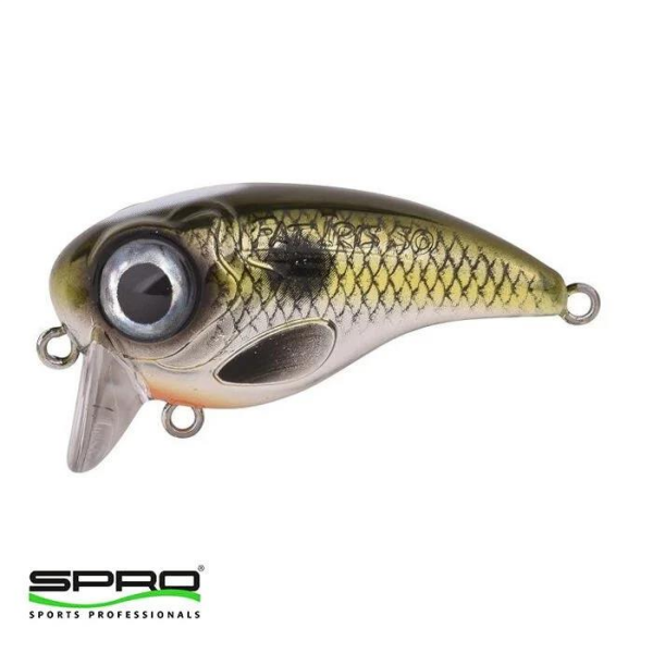 SPRO Iris Shad 5cm 10g Maket Yem
