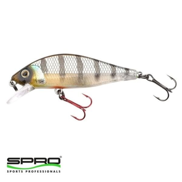 SPRO Ikiru Flat Jerk Buzzer 1/1