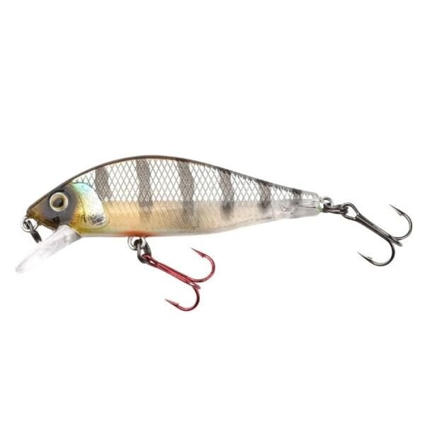 SPRO Ikiru Flat Jerk Buzzer 1/1