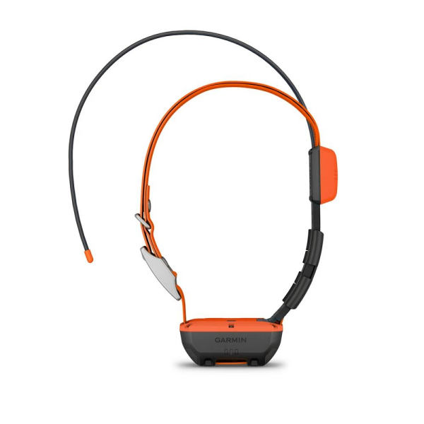 GARMIN Alpha T 20 Köpek Tasması