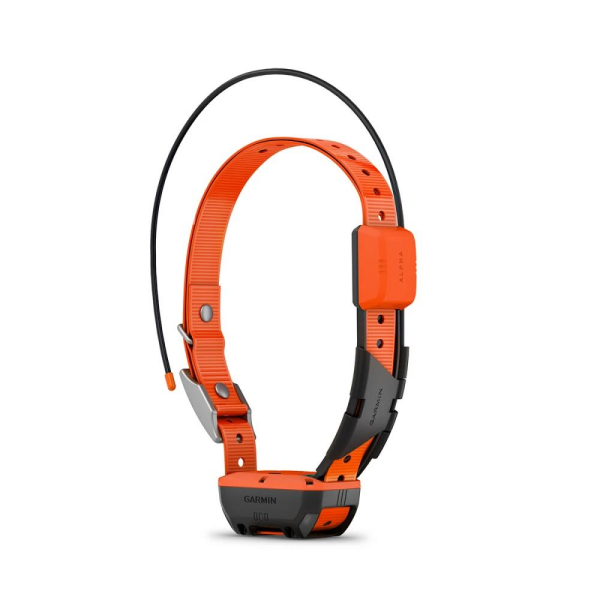 GARMIN Alpha T 20 Köpek Tasması