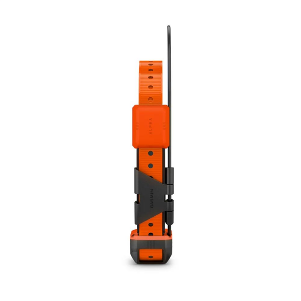 GARMIN Alpha T 20 Köpek Tasması