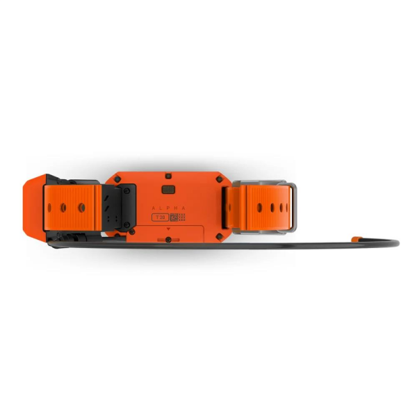 GARMIN Alpha T 20 Köpek Tasması