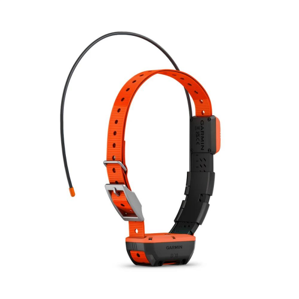 GARMIN Alpha T 20 Köpek Tasması
