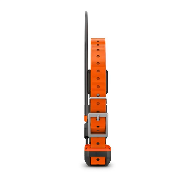 GARMIN Alpha T 20 Köpek Tasması