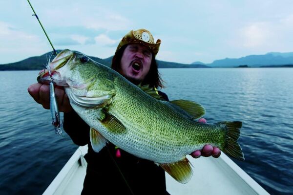 D.YO-ZURI Sashimi Minnow R967 CMSH FW F90mm Maket Yem