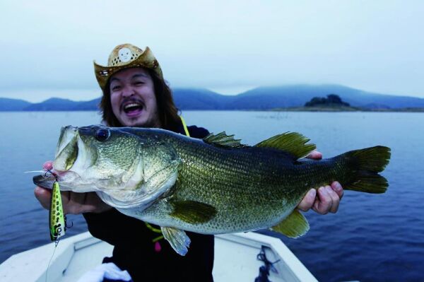 D.YO-ZURI  Jerk Bait R1019 CGSH FW 70mm Maket Yem