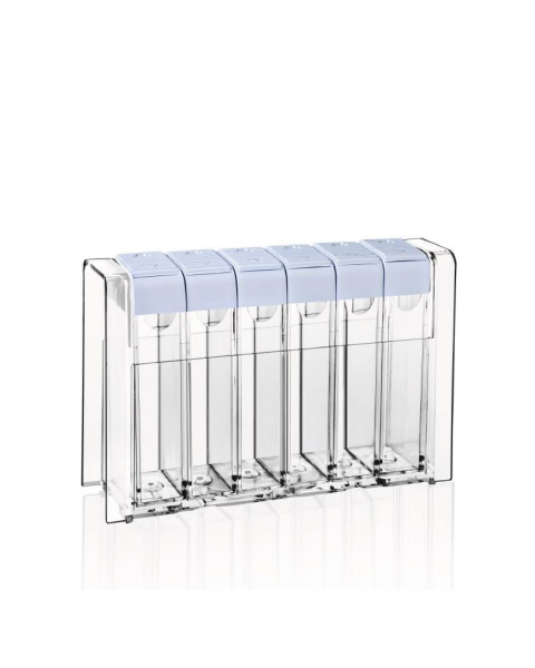 NURGAZ Altılı Baharatlık Seti