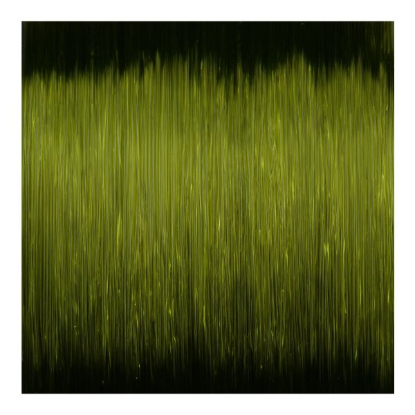 SPRO Ctec Predator Green Misina 0.30/7.6 kg - 400 m - 1/5