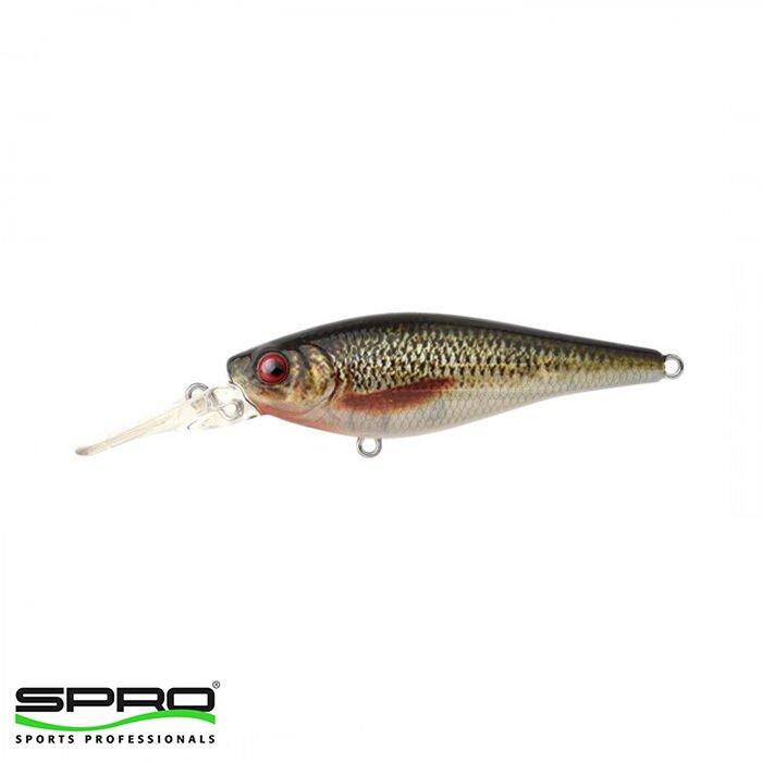 SPRO Ikiru Shad Roach  7,0cm 11G Maket Yem 1/1