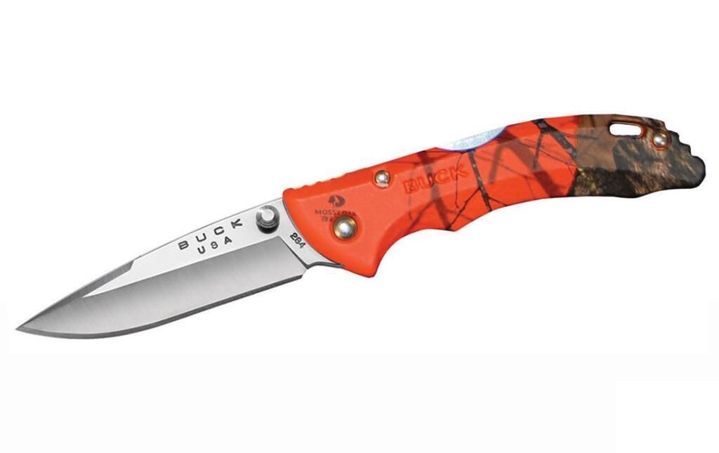 BUCK 284 Bantam (3893) Blaze Çakı